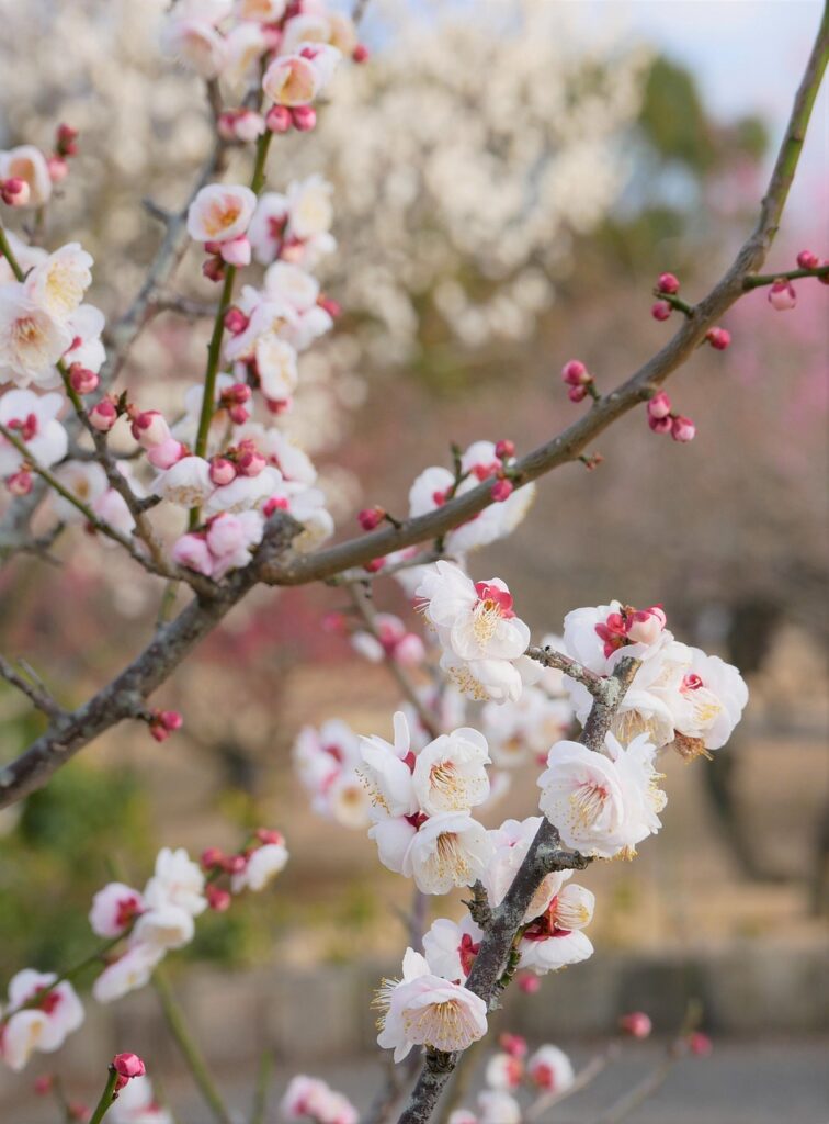 FPの無料相談はどこが安心して利用できる？