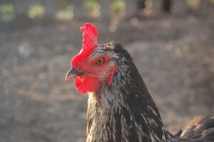 専業主婦が知識ゼロから投資を始めるためのステップは？