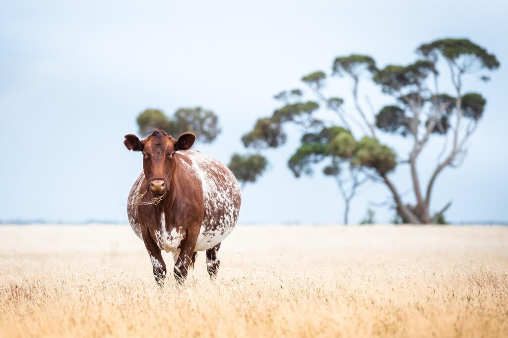 育児中の節約のアイデアはどんな実例がある？