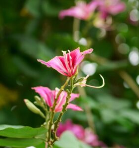 fp相談でおすすめのサービスはどこですか？