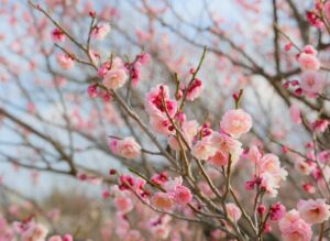 fp相談でおすすめの信頼できる専門家は？