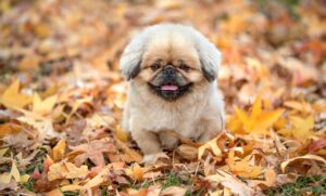 fp相談で知っておきたいおすすめのサービスは？