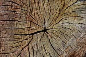 元本割れしない積立の仕組みとそのメリットは？