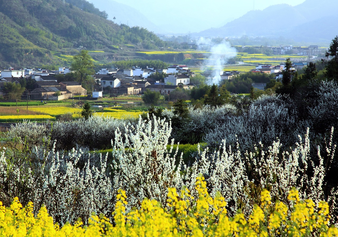 SBI証券でNISAを開設する手順は？