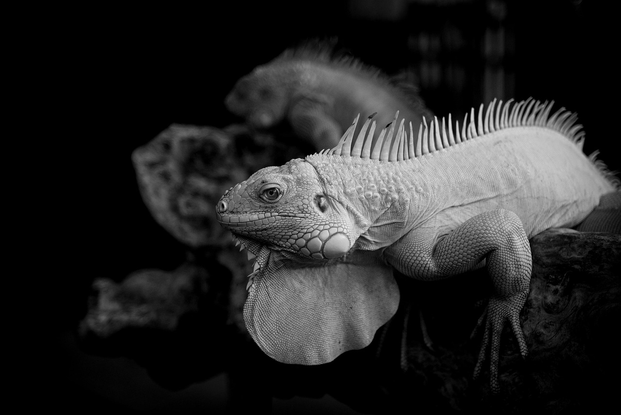 つみたてNISAで少額投資に最適なおすすめファンドは？